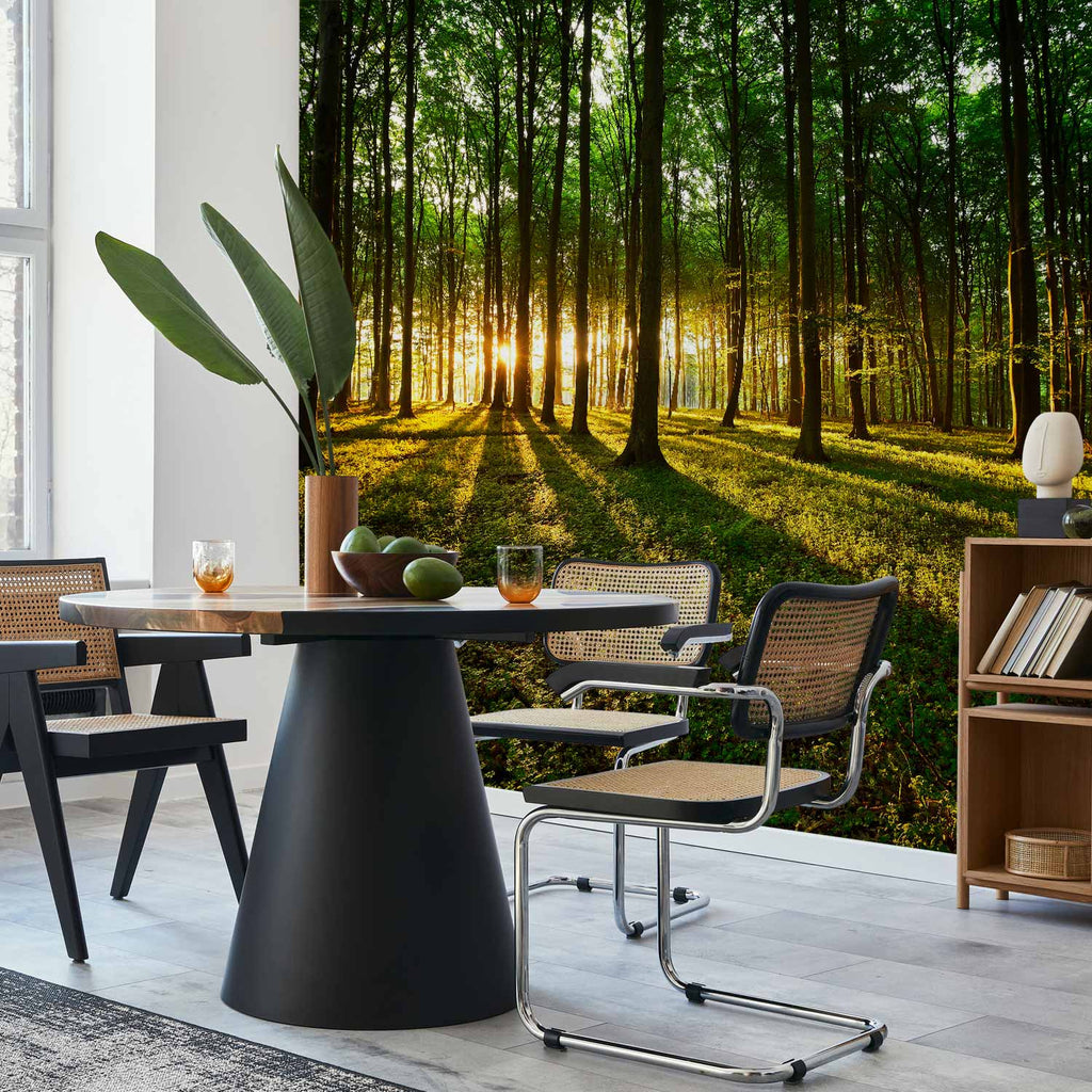 Morning Forest Green Nature Wall Mural