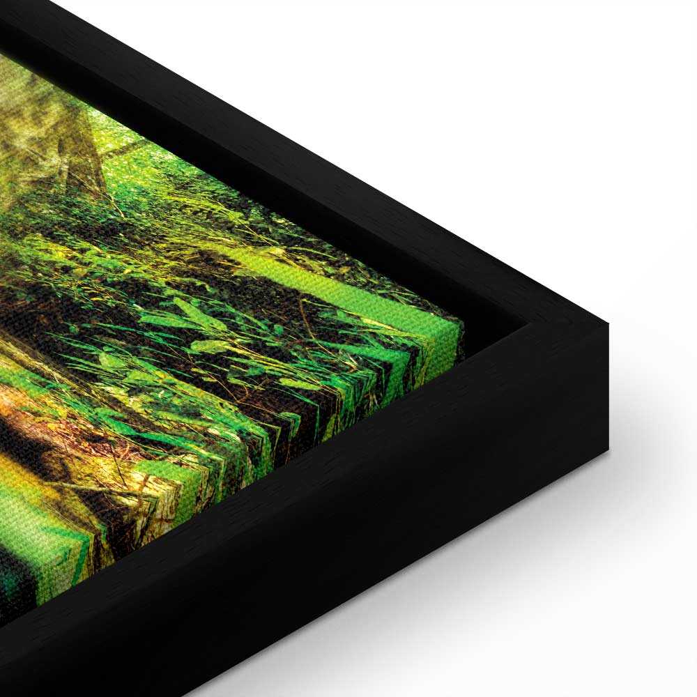 Forest Waterfall Landscape Canvas Print