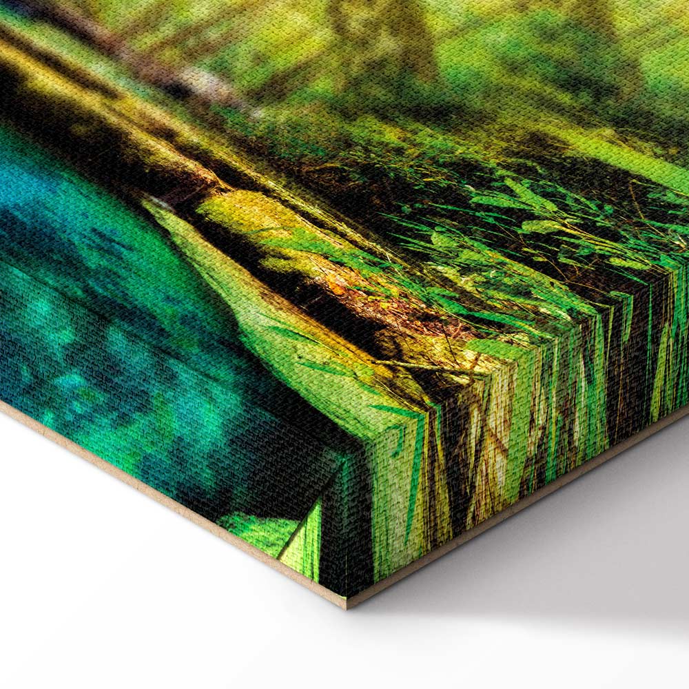 Forest Waterfall Landscape Canvas Print