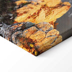 Sun Salutation Nature Landscape Canvas Print