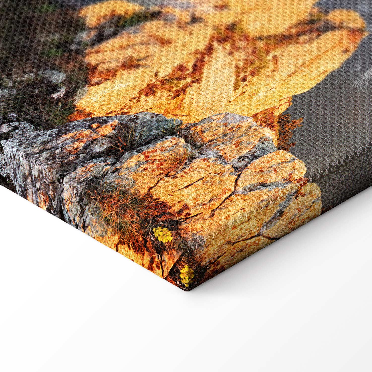 Sun Salutation Nature Landscape Canvas Print