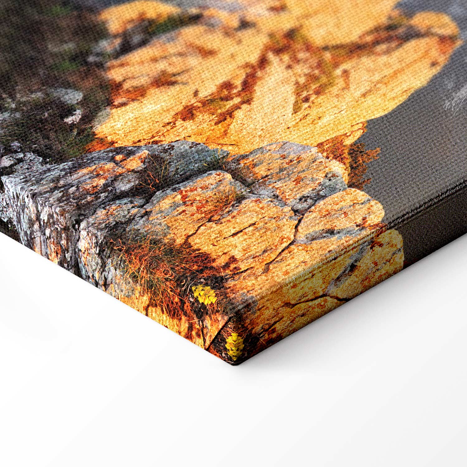 Sun Salutation Nature Landscape Canvas Print