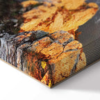 Sun Salutation Nature Landscape Canvas Print