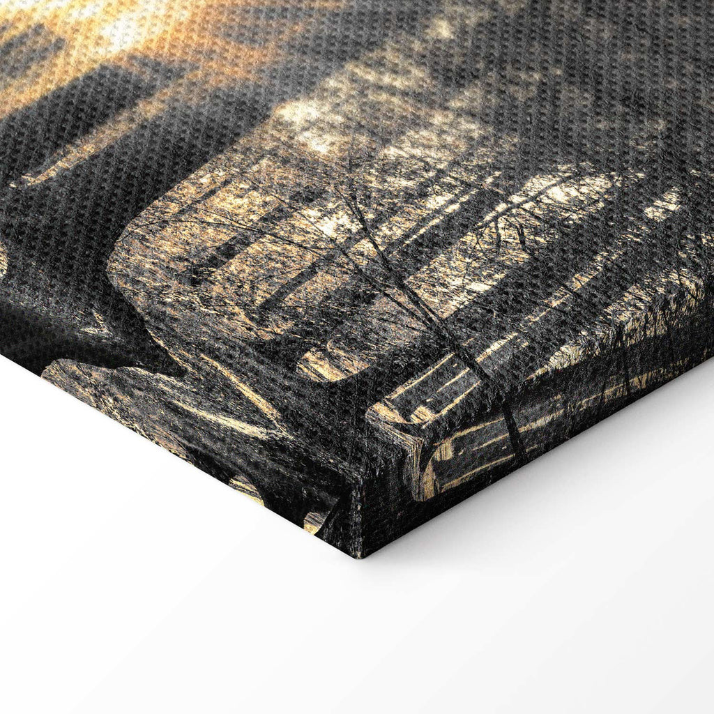 Sunlit Forest Landscape Canvas Print