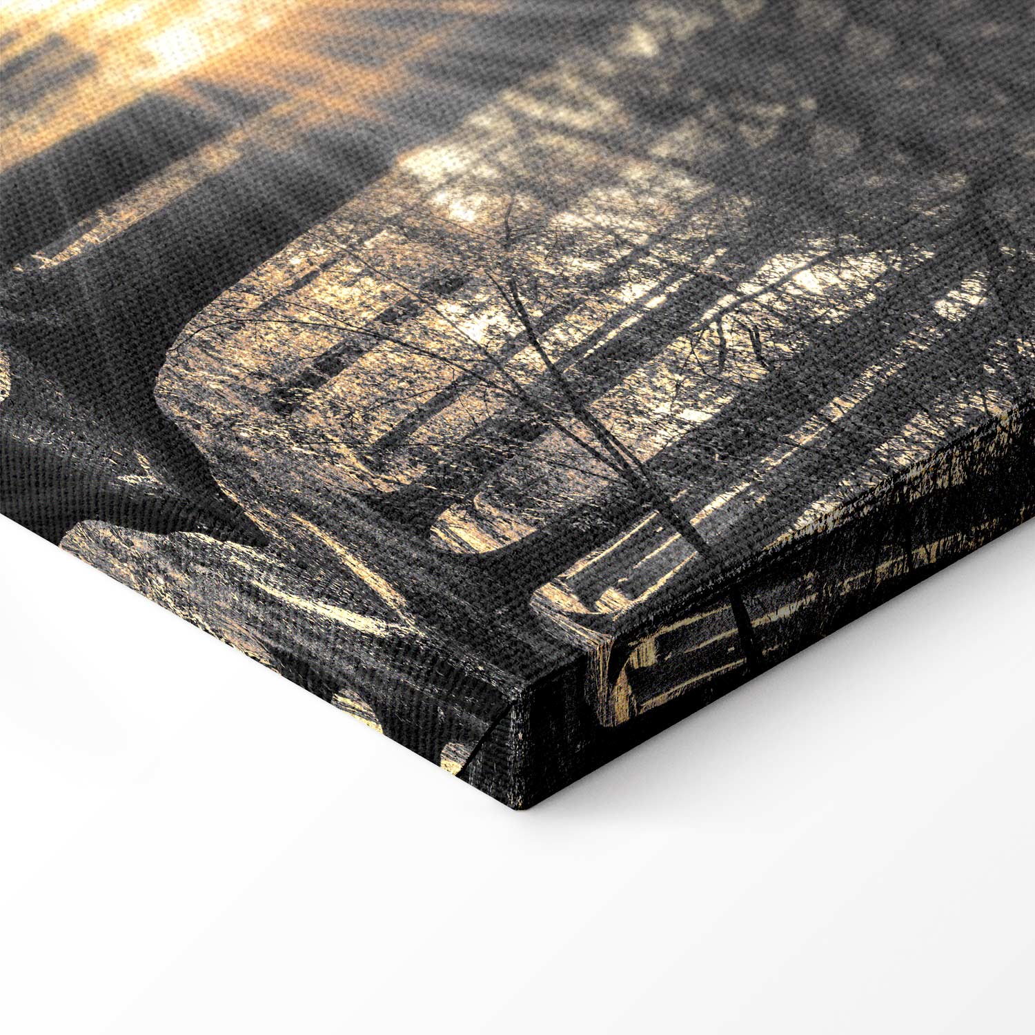 Sunlit Forest Landscape Canvas Print