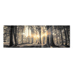 Sunlit Forest Landscape Canvas Print