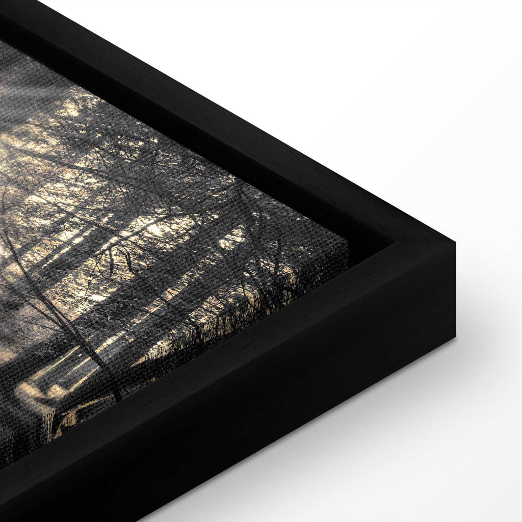 Sunlit Forest Landscape Canvas Print