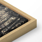 Sunlit Forest Landscape Canvas Print