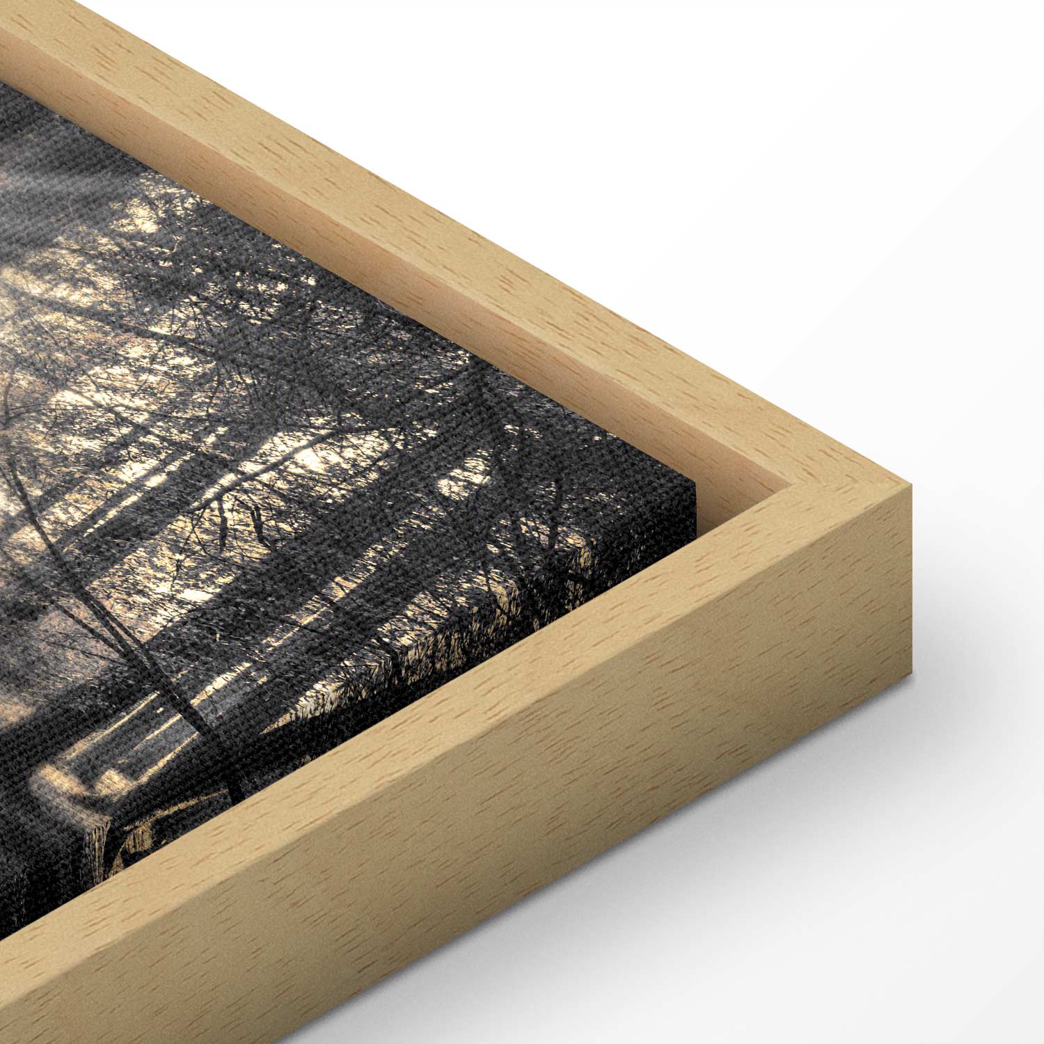 Sunlit Forest Landscape Canvas Print