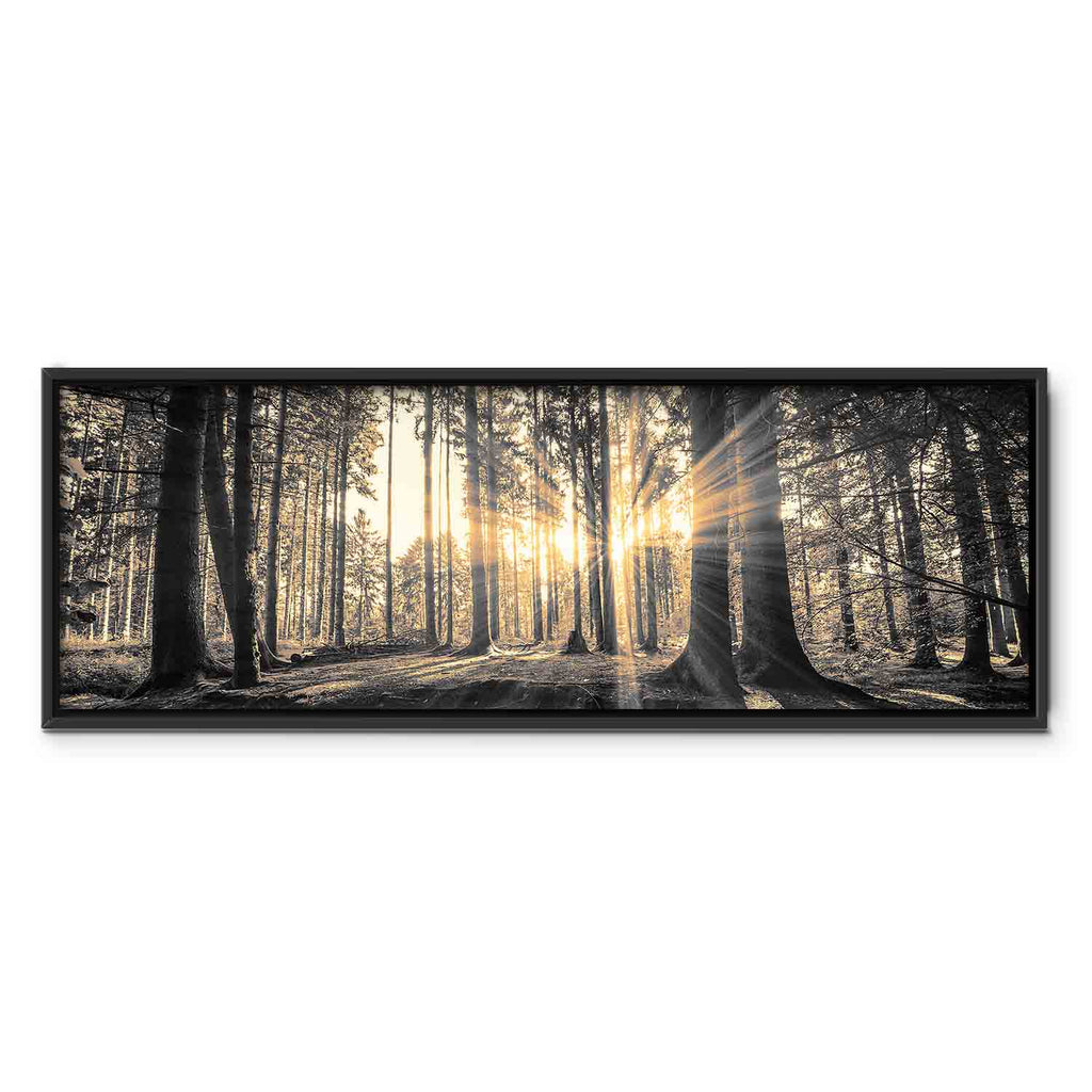 Sunlit Forest Landscape Canvas Print