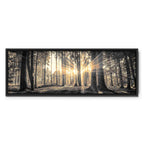 Sunlit Forest Landscape Canvas Print