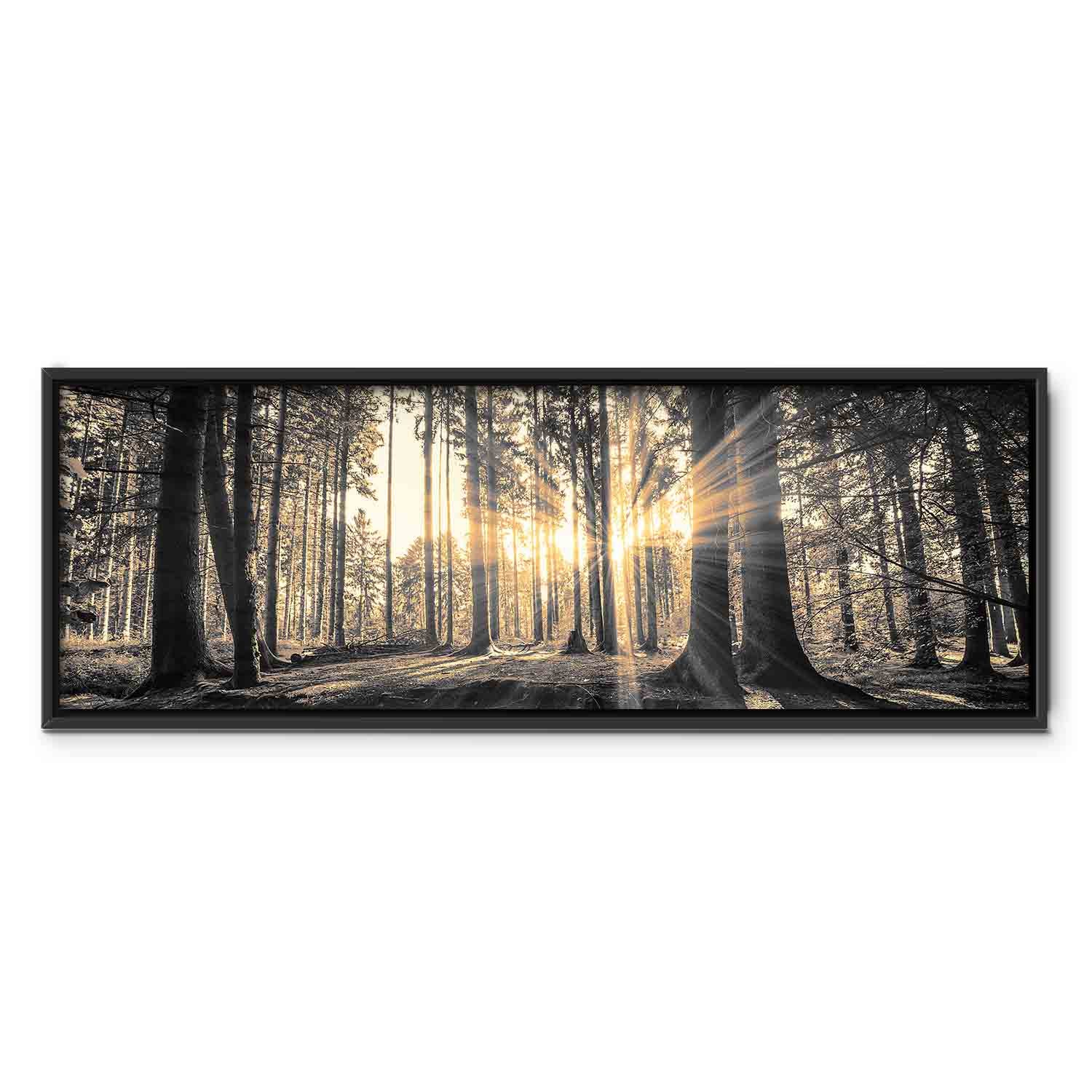 Sunlit Forest Landscape Canvas Print