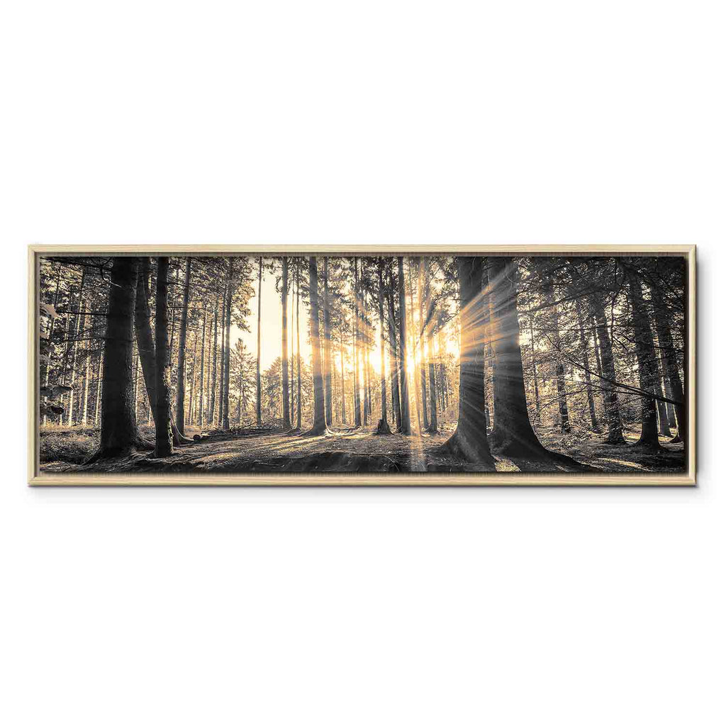Sunlit Forest Landscape Canvas Print