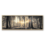 Sunlit Forest Landscape Canvas Print