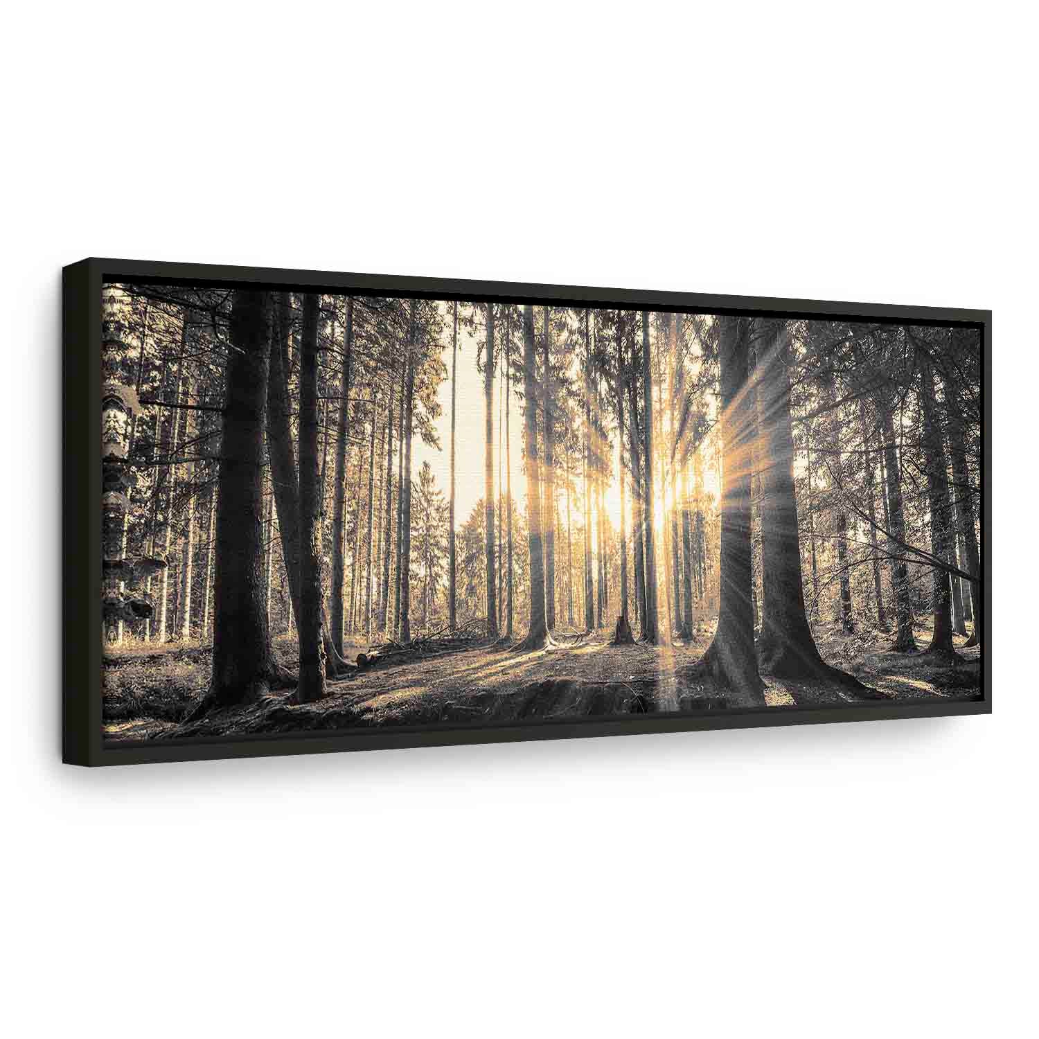 Sunlit Forest Landscape Canvas Print