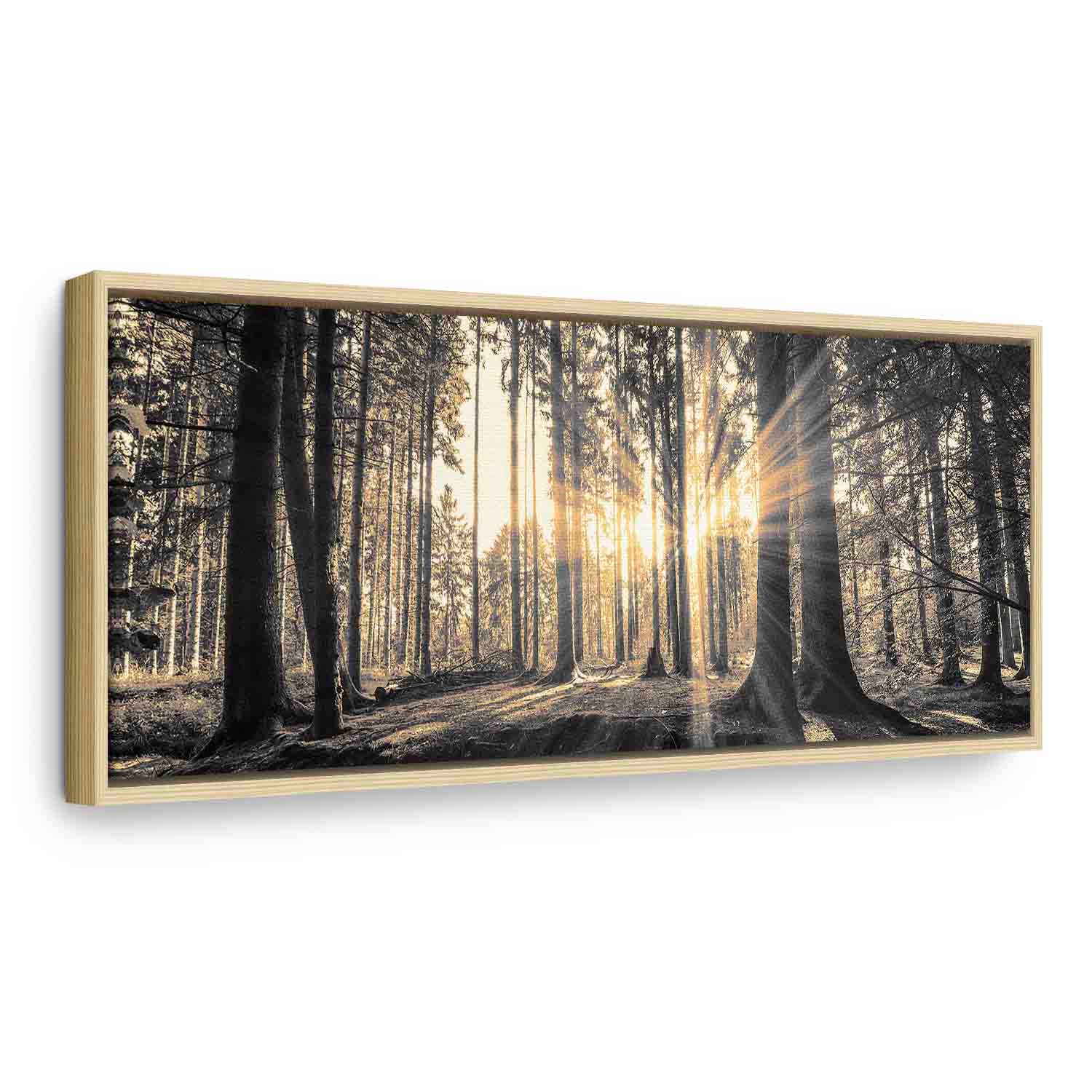 Sunlit Forest Landscape Canvas Print
