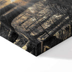 Sunlit Forest Landscape Canvas Print