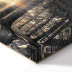 Sunlit Forest Landscape Canvas Print