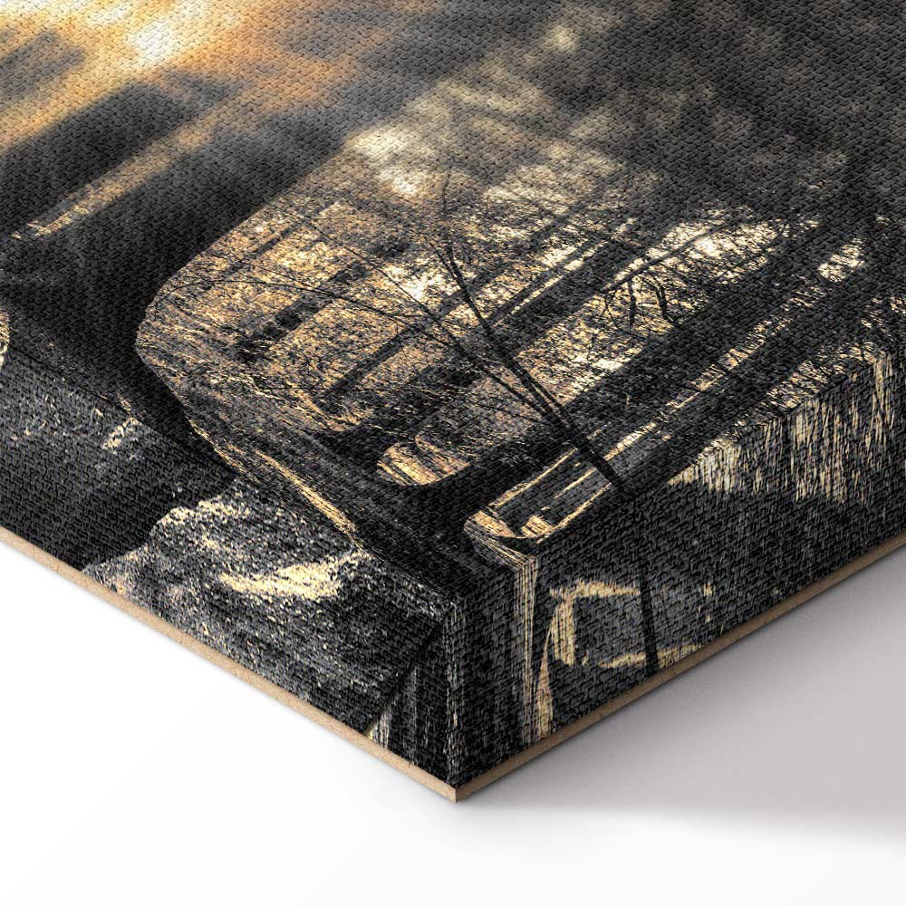 Sunlit Forest Landscape Canvas Print