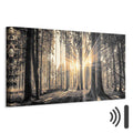 Sunlit Forest Landscape Canvas Print