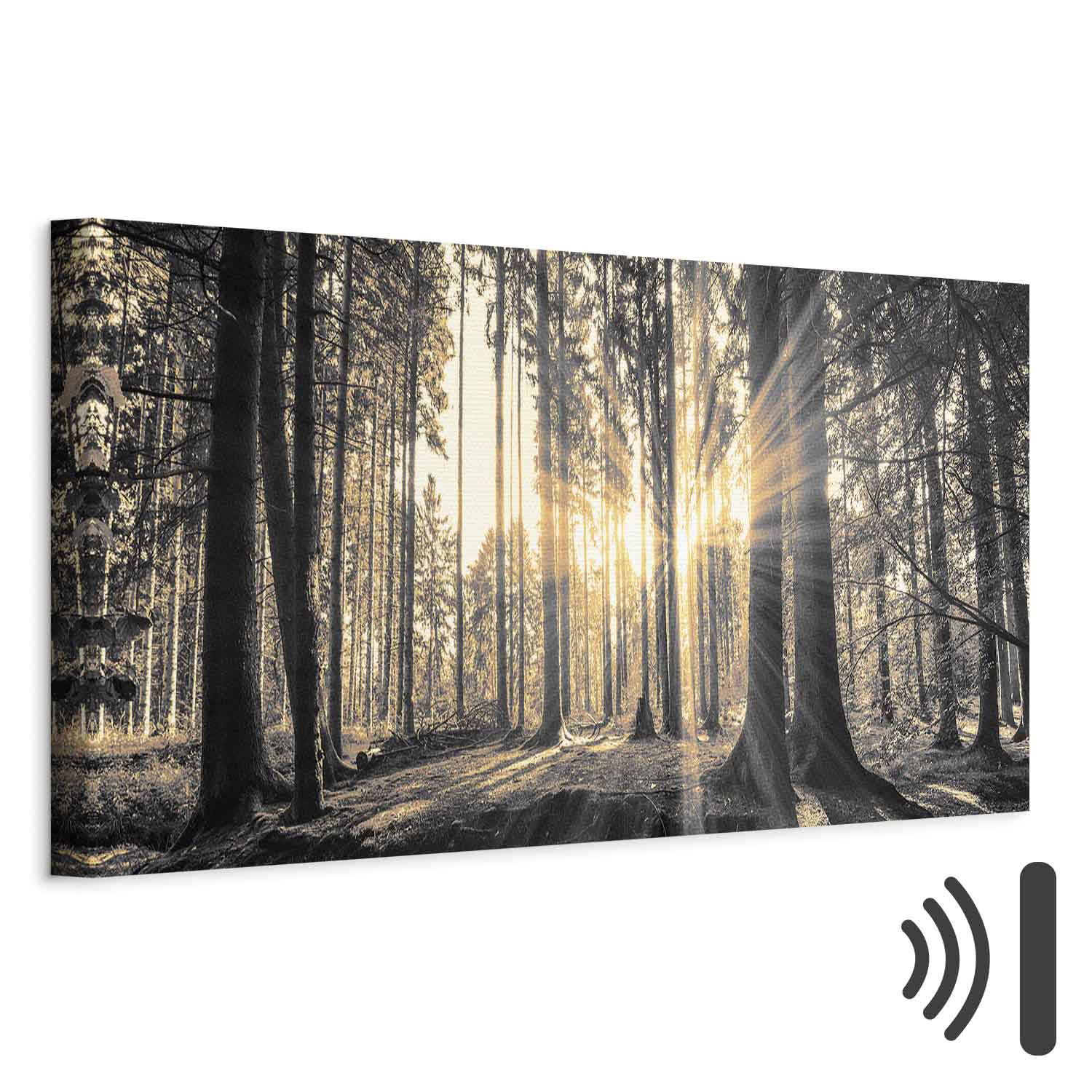 Sunlit Forest Landscape Canvas Print