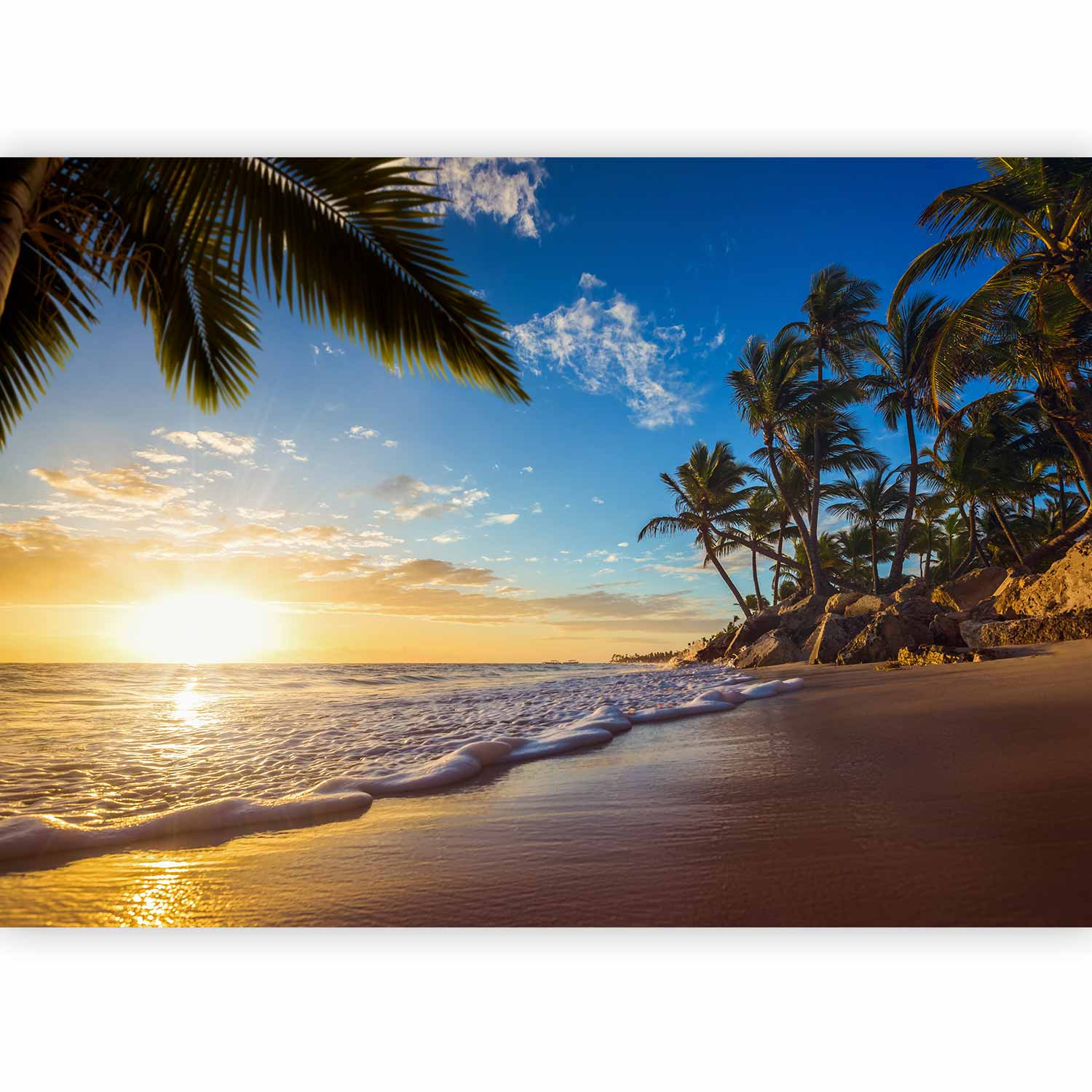 Tropical Beach Palm Trees Wall Mural