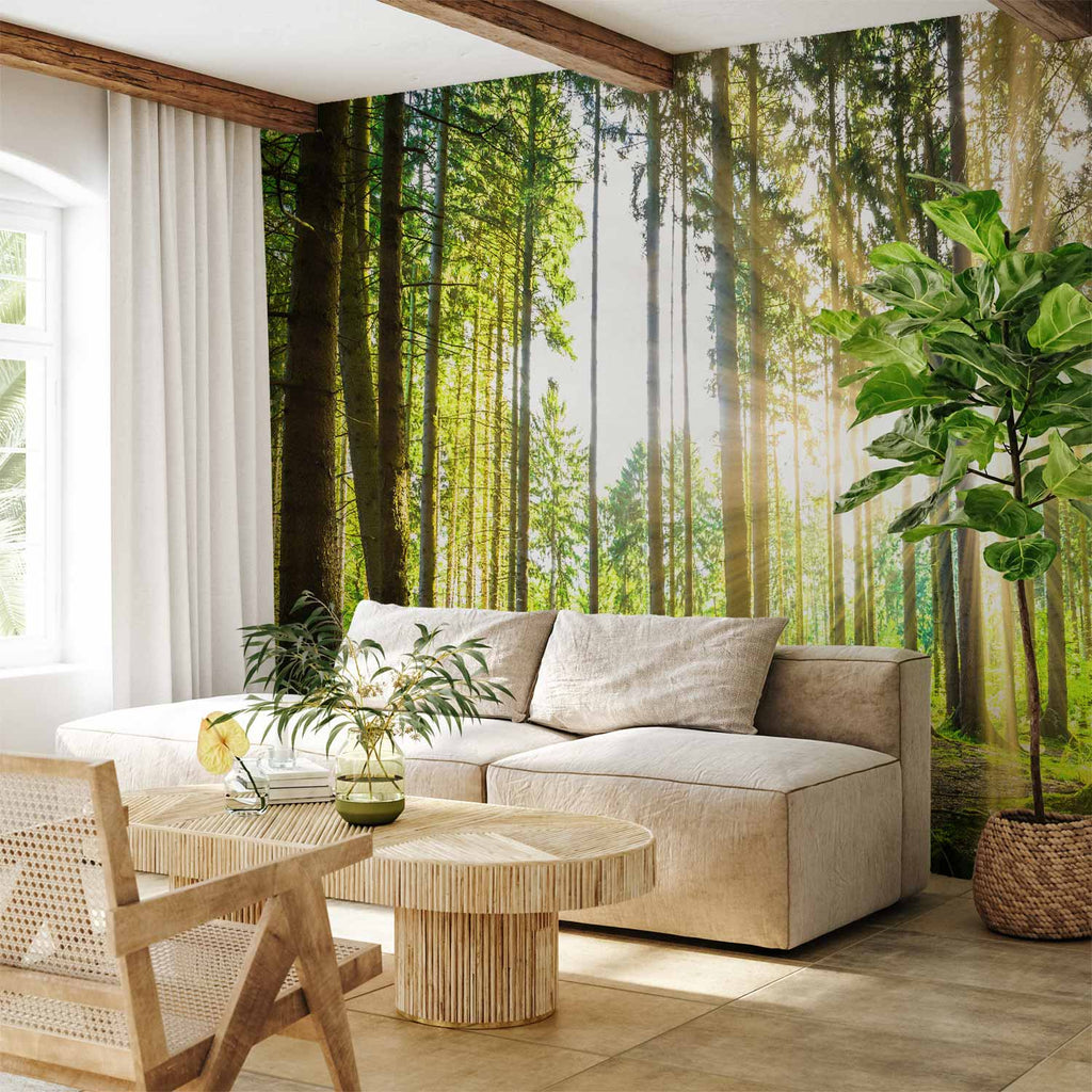 Misty Forest Trees Wall Mural
