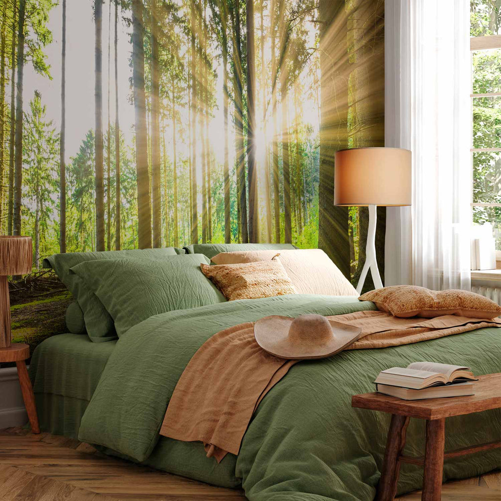 Misty Forest Trees Wall Mural