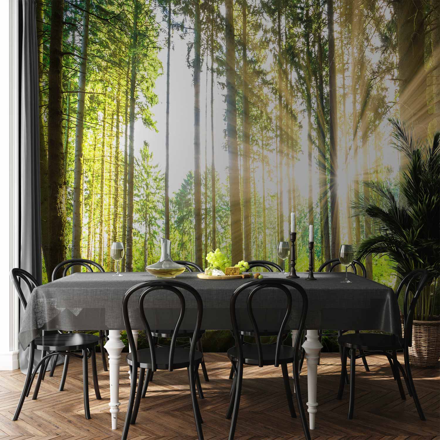 Misty Forest Trees Wall Mural
