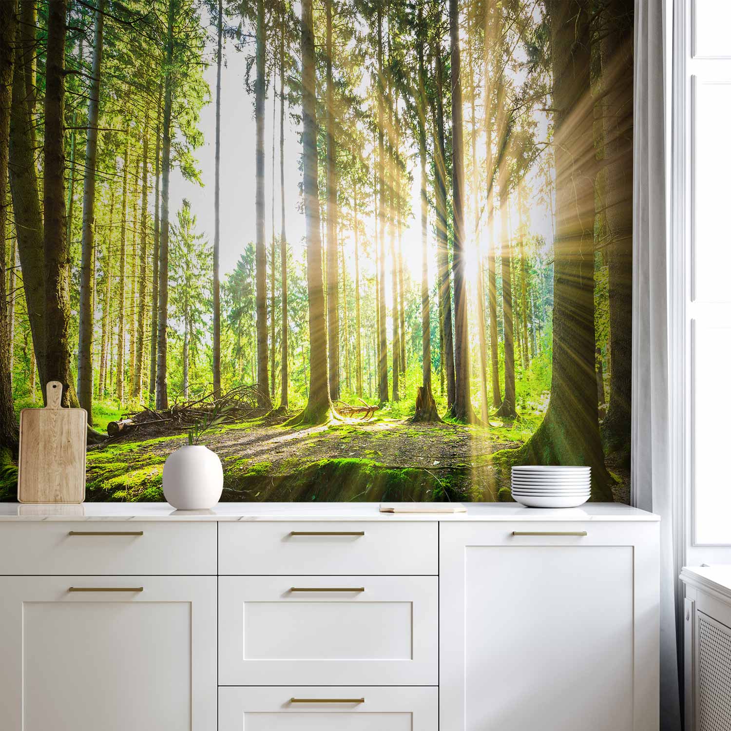Misty Forest Trees Wall Mural