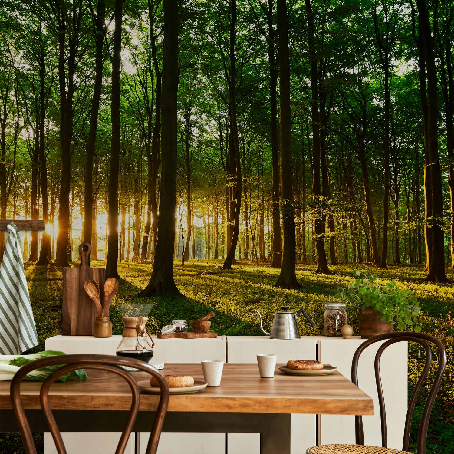 Mystical Forest Morning Landscape Wall Mural