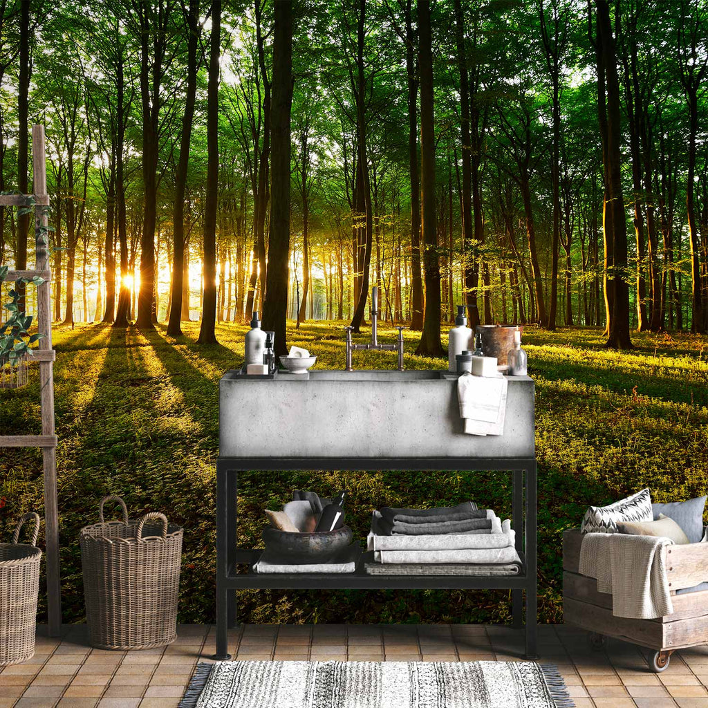 Mystical Forest Morning Landscape Wall Mural