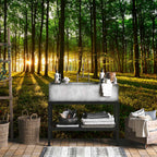 Mystical Forest Morning Landscape Wall Mural