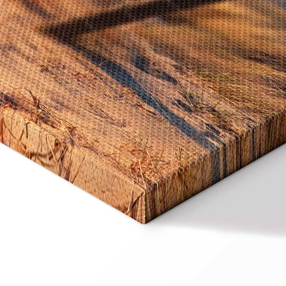 Sunset Beach Path Landscape Canvas Print