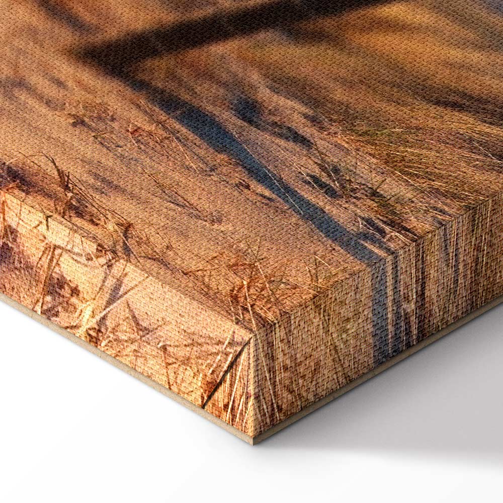 Sunset Beach Path Landscape Canvas Print