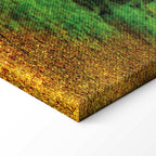 Enchanted Green Forest Landscape Canvas Print