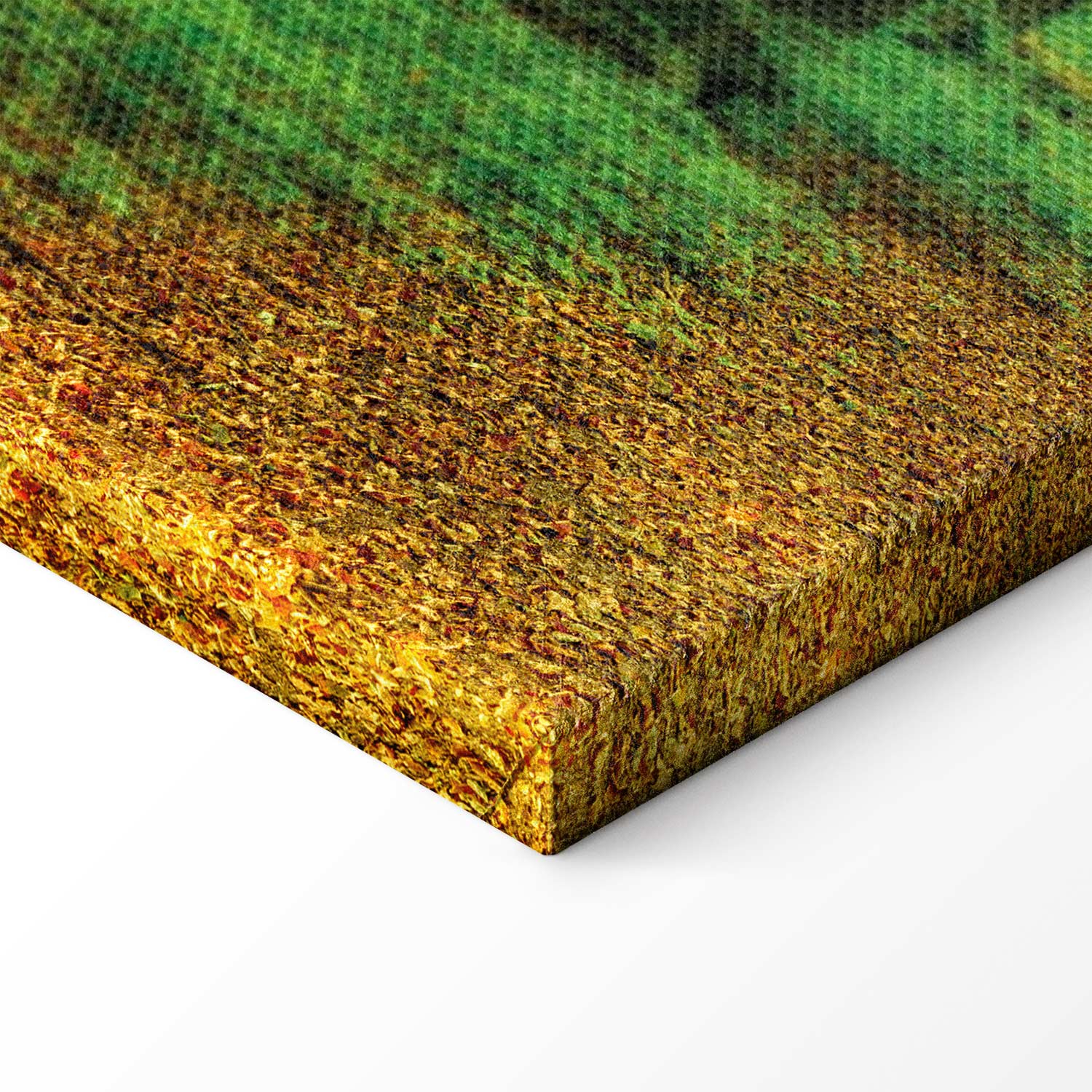 Enchanted Green Forest Landscape Canvas Print