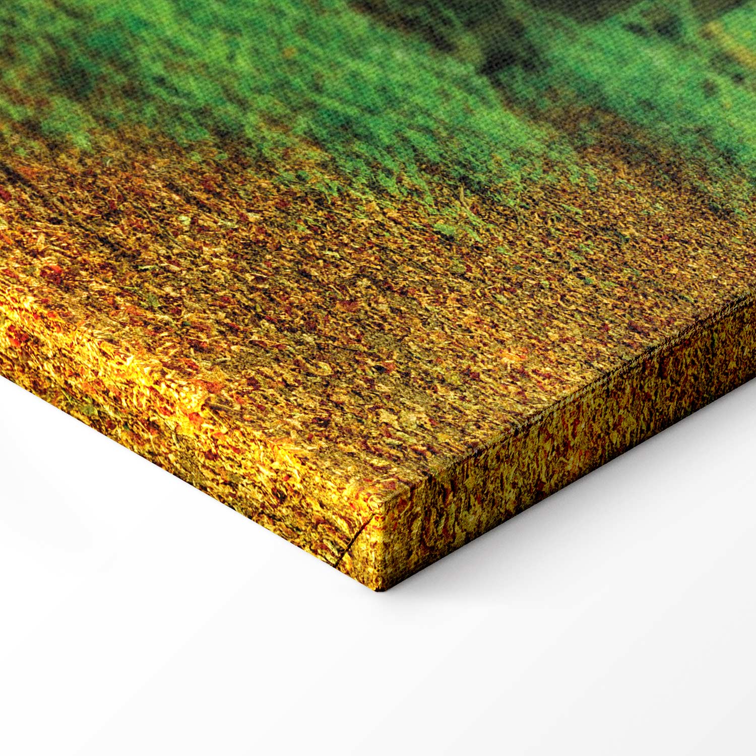 Enchanted Green Forest Landscape Canvas Print