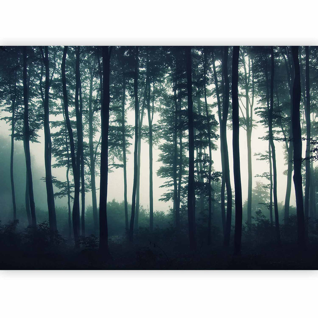 Dark Forest Trees Nature Wall Mural