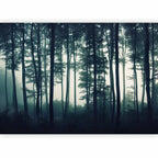 Dark Forest Trees Nature Wall Mural