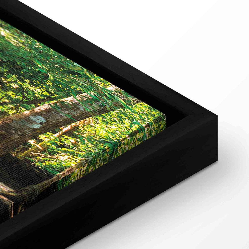 Forest Waterfall River Landscape Canvas Print