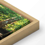 Forest Waterfall River Landscape Canvas Print