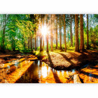 Forest River Landscape Wall Mural