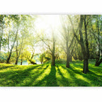 Sunny Green Forest Landscape Wall Mural