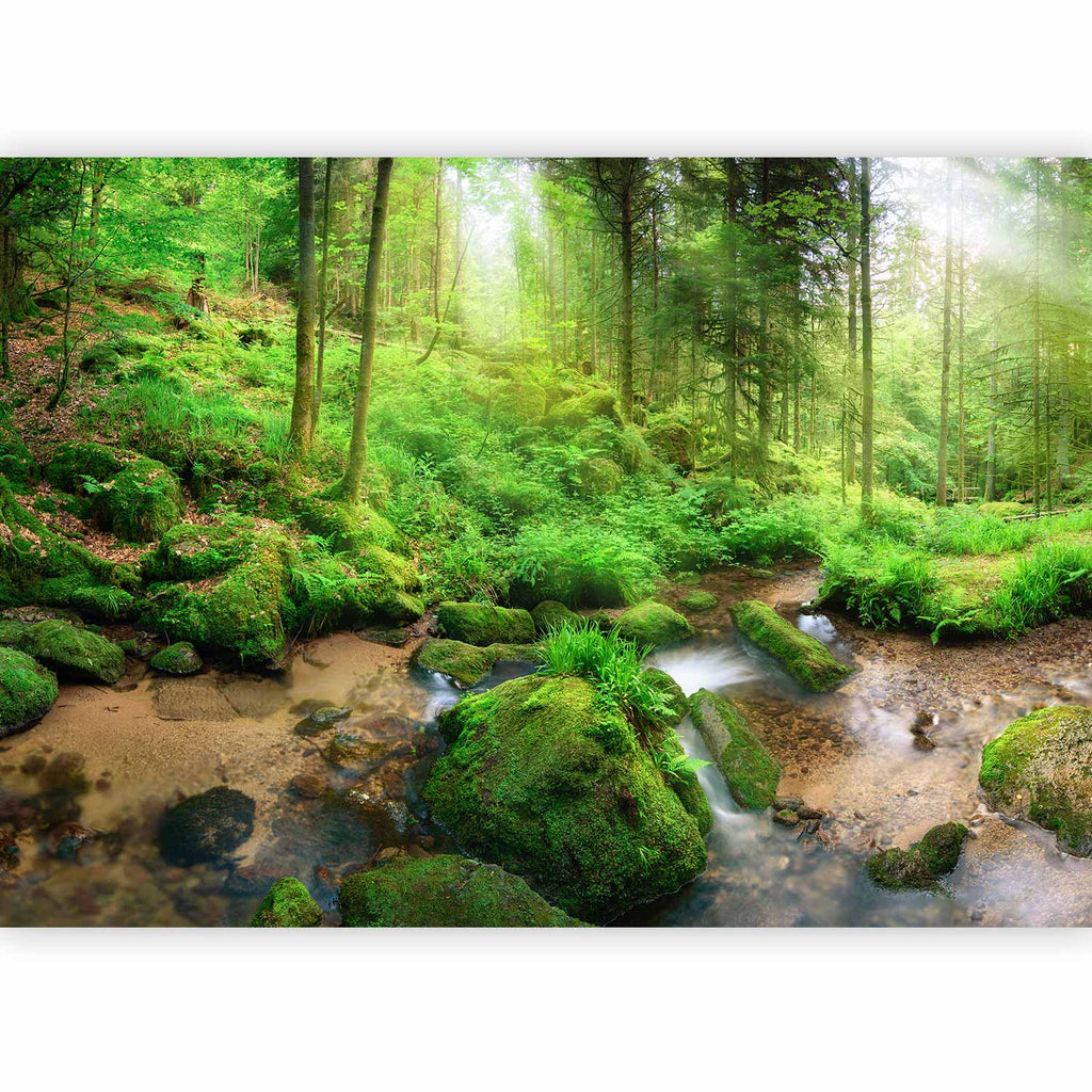 Humid Forest Green Landscape Wall Mural