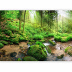 Humid Forest Green Landscape Wall Mural