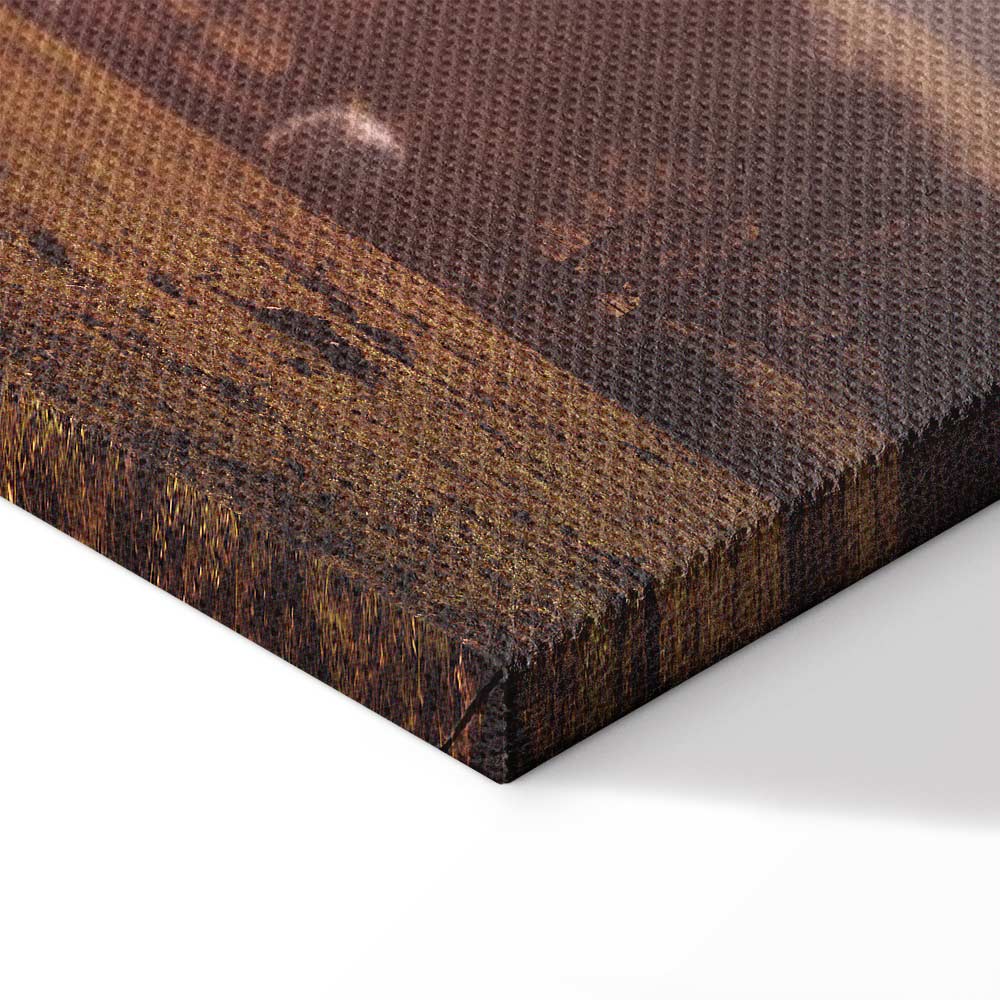 Sheep Mountain Landscape Rustic Canvas Print