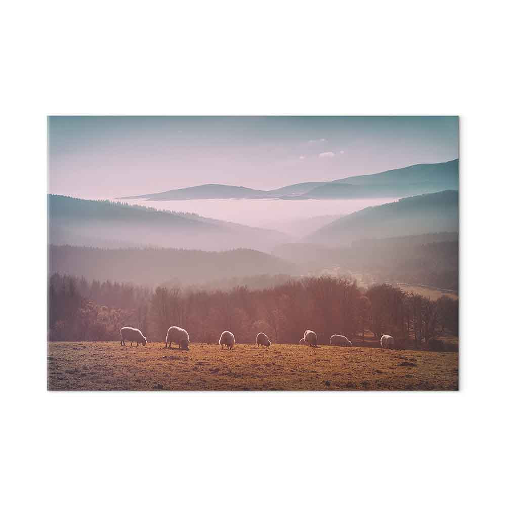 Sheep Mountain Landscape Rustic Canvas Print
