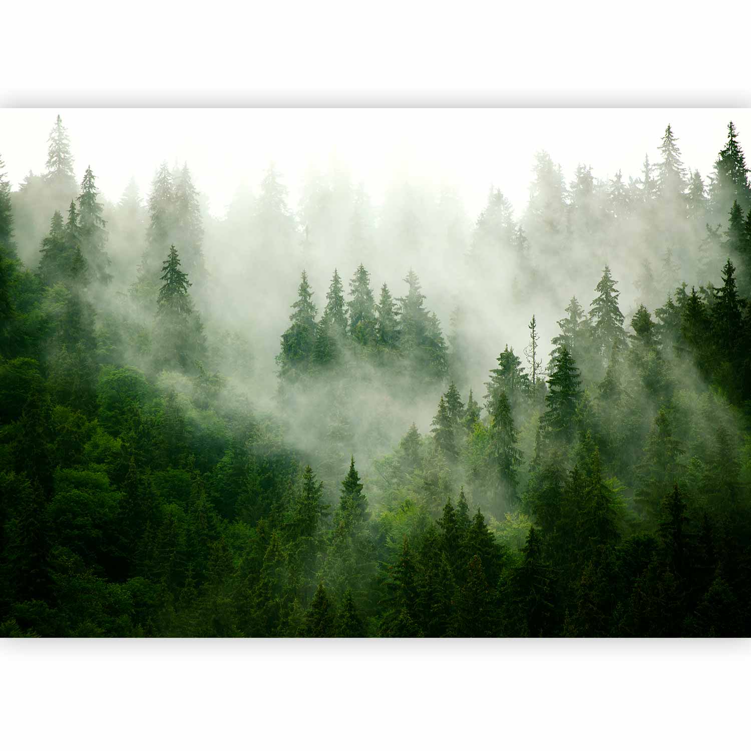 Mountain Forest Green Wall Mural