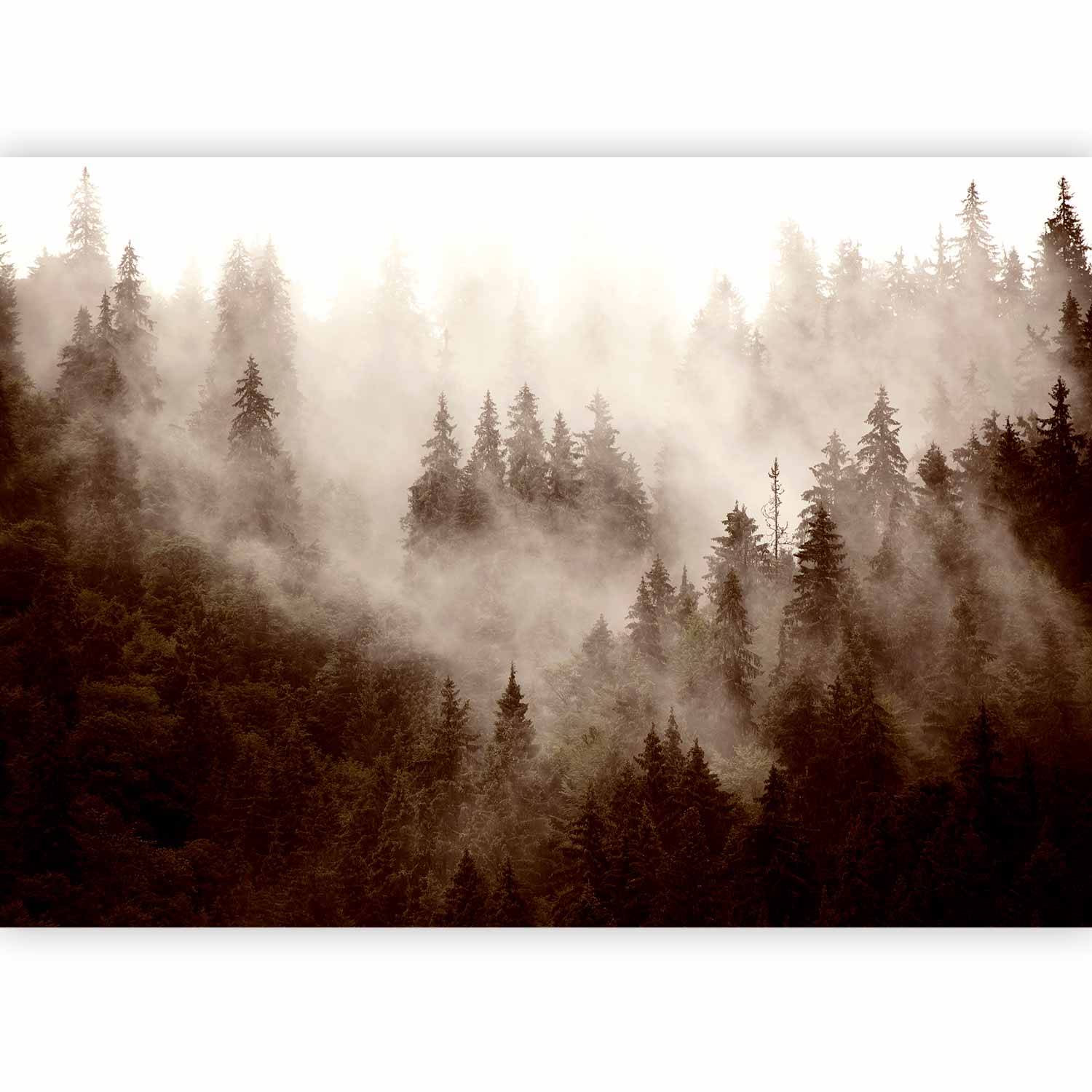 Sepia Mountain Forest Wall Mural